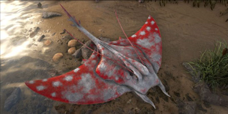 方舟蝠鱝喜歡吃什麼？