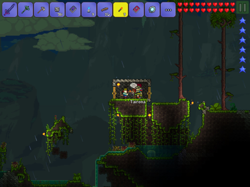 泰拉瑞亞巫醫入住條件是什麼？