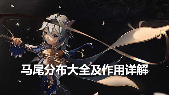 馬尾分布大全及作用詳解