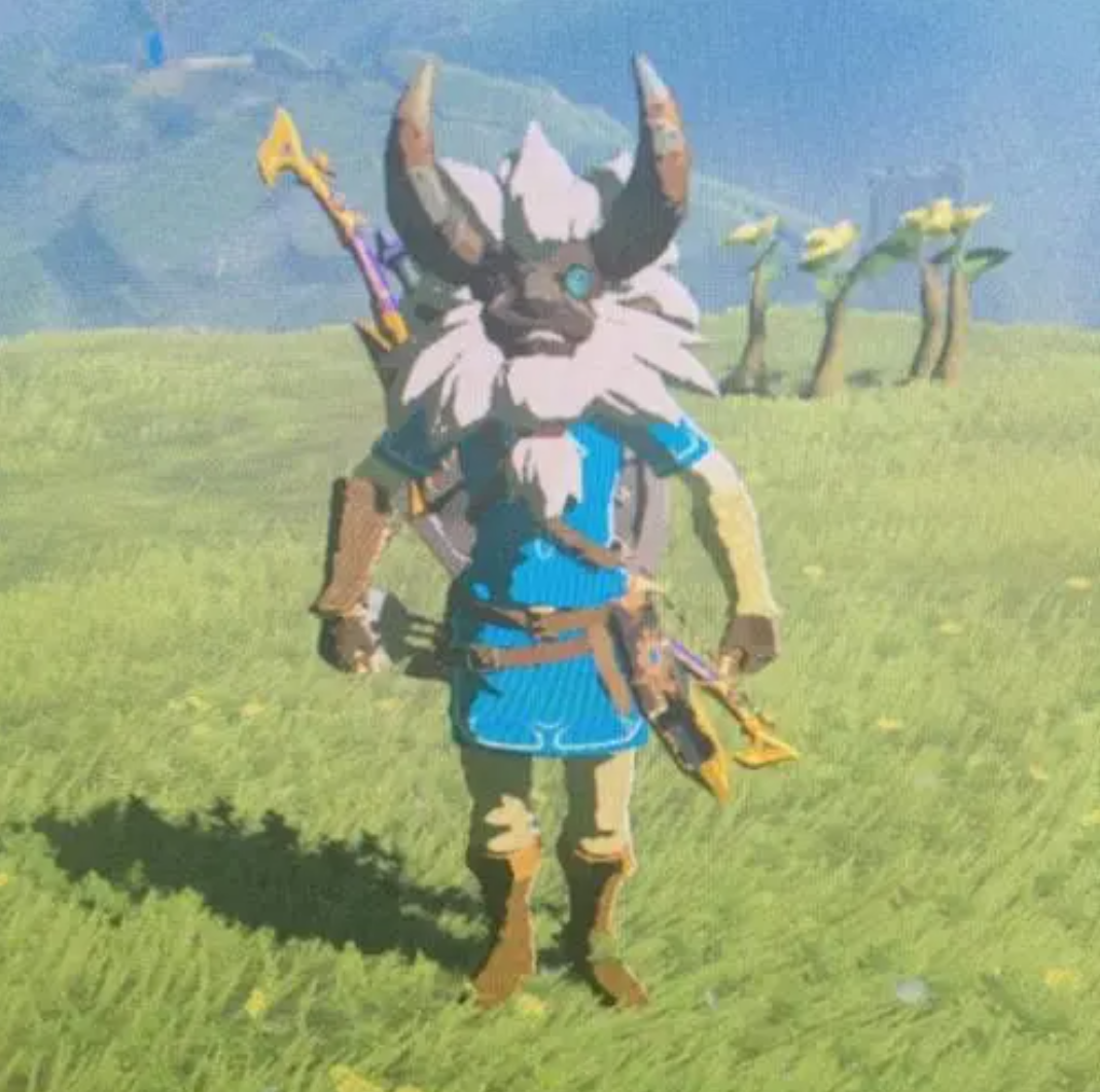 塞爾達萊尼爾等級是多少？