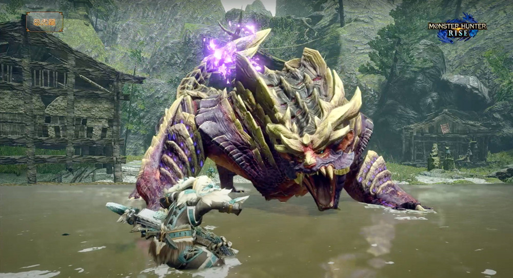 怪物獵人崛起大小金是什麼意思？