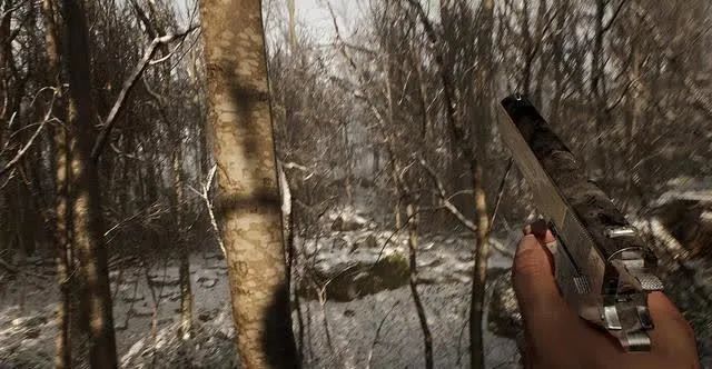 PS5獨占游戲《廢棄》開發商在採訪中提及PS5 Pro