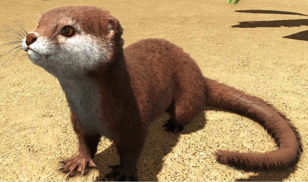 方舟水獺怎麼取下來？