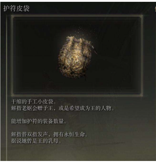 艾爾登法環護符皮袋怎麼裝備？