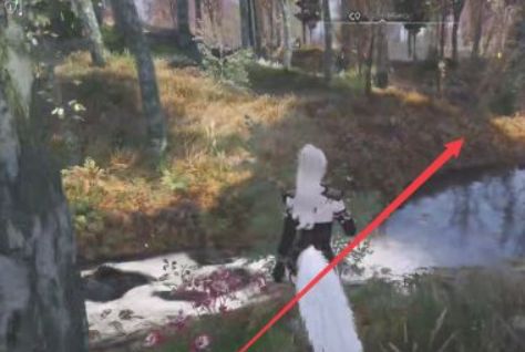 上古卷軸5紫杉鎮在哪?