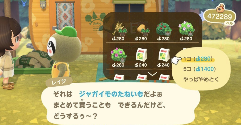 動森怎麼種菜？