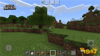 我的世界怎麼調大按鈕,怎麼把(安卓游戲)我的世界鍵位調大???