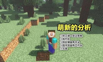 我的世界怎麼砍樹不碎,我的世界怎麼砍樹