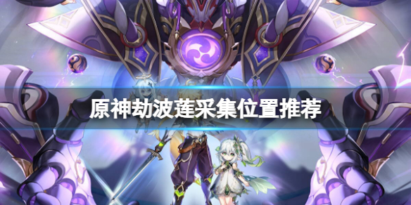 《原神》劫波蓮哪裡最多？劫波蓮採集位置推薦