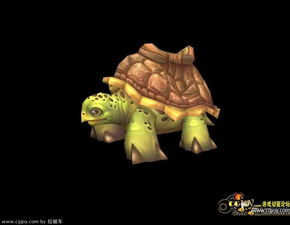 我的世界創造烏龜怎麼騎,創造世界怎麼騎動物