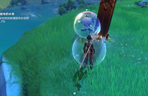 原神寵物沒有活動怎麼獲得,炫舞怎麼得到寵物呢,現在有沒有活動可以得寵物