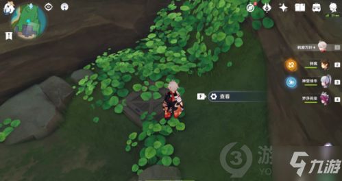 原神怎麼出稻妻離島,《原神》怎麼去稻妻?