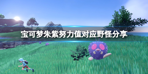 《寶可夢朱紫》怎麼刷努力值？努力值對應野怪分享