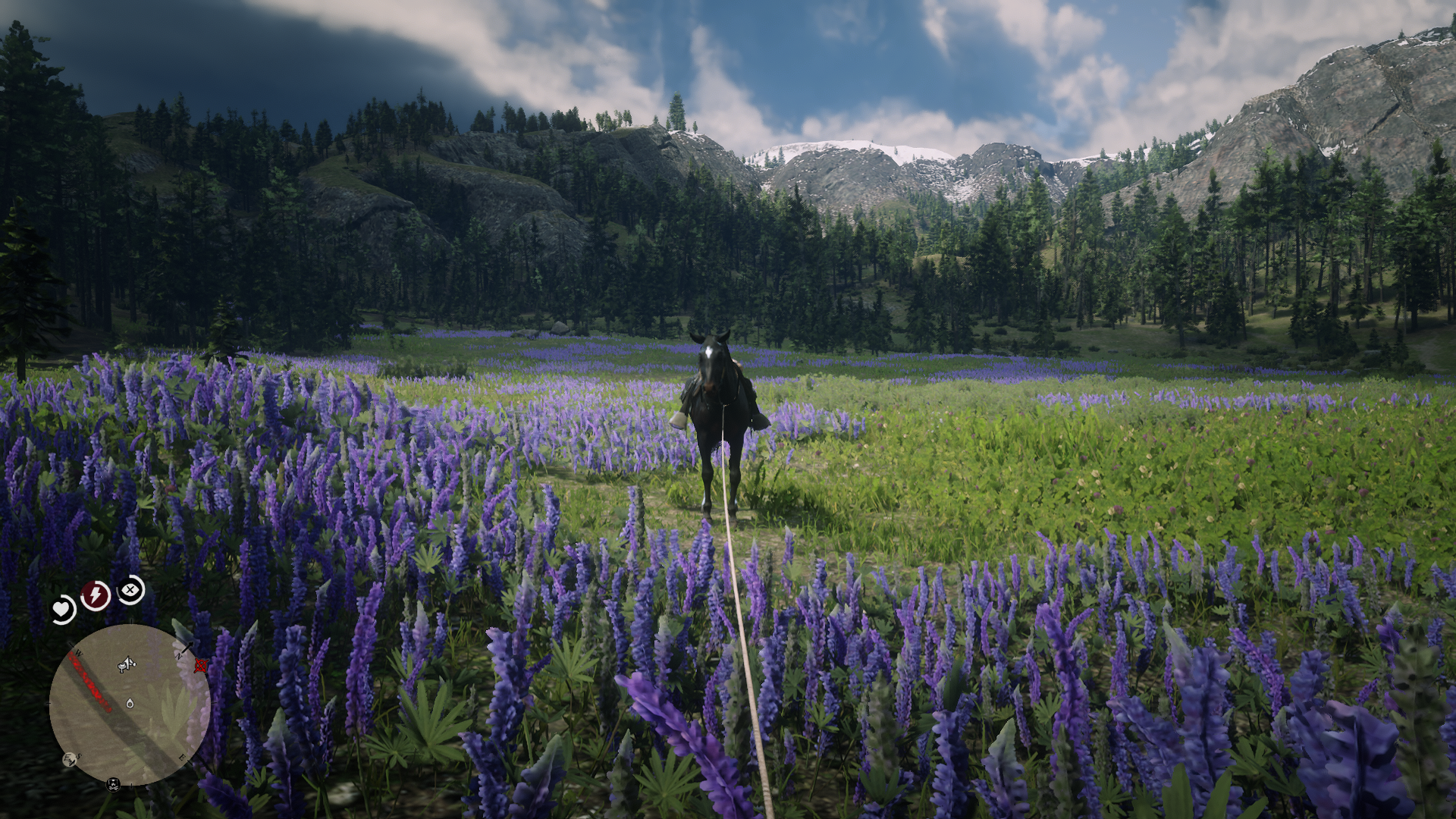 荒野大鏢客2抓馬需要什麼？