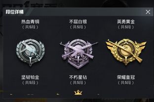 和平精英段位怎麼充錢,和平精英高段位代練是怎麼收費的?