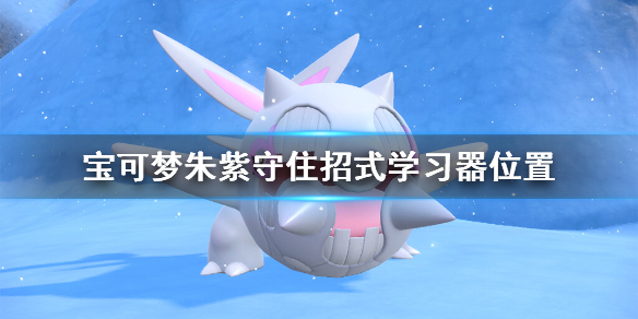 《寶可夢朱紫》守住招式怎麼學？守住招式學習器位置