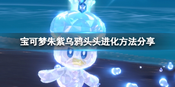 《寶可夢朱紫》烏鴉頭頭怎麼進化？烏鴉頭頭進化方法分享