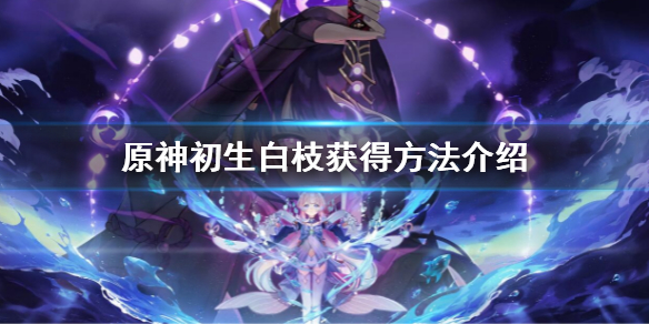《原神》初生白枝怎麼獲得？初生白枝獲得方法介紹