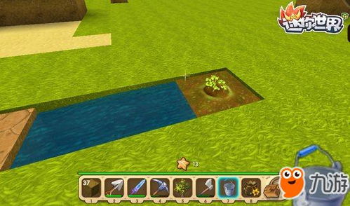 迷你世界怎麼變花花世界,如何在迷你世界中獲得更多花?除了野花