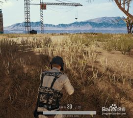 絕地求生老隊員名字怎麼改,絕地求生怎麼改名字?