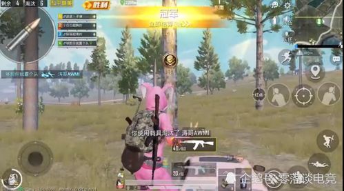 和平精英怎麼速度上分,和平精英和青銅號組隊更容易上分嗎