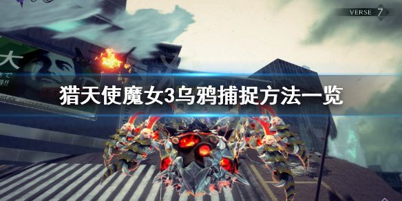 《獵天使魔女3》烏鴉有什麼用？烏鴉捕捉方法一覽