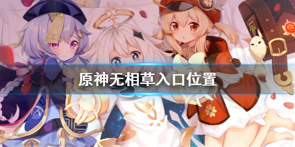 《原神》無相草入口位置 無相草入口位置在哪