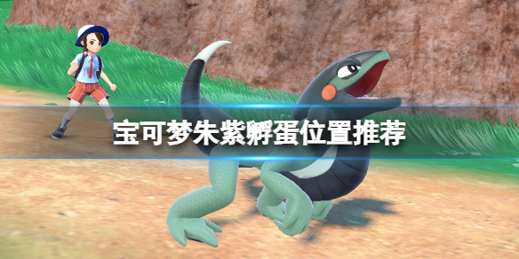 《寶可夢朱紫》孵蛋在哪孵？孵蛋位置推薦