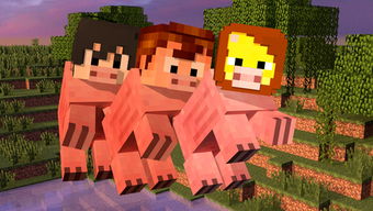 我的世界陶瓦怎麼刷,我的世界帶釉陶瓦怎麼用百度知道