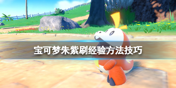 《寶可夢朱紫》怎麼刷經驗？刷經驗方法技巧