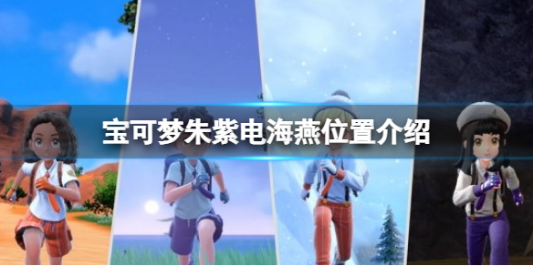 《寶可夢朱紫》電海燕怎麼抓？電海燕位置介紹