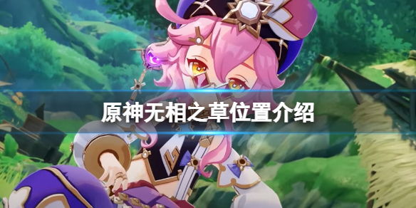 《原神》無相之草在哪裡？無相之草位置介紹