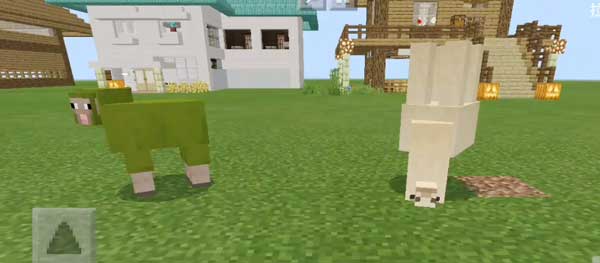 我的世界竹精靈怎麼種,我的世界竹子怎麼種