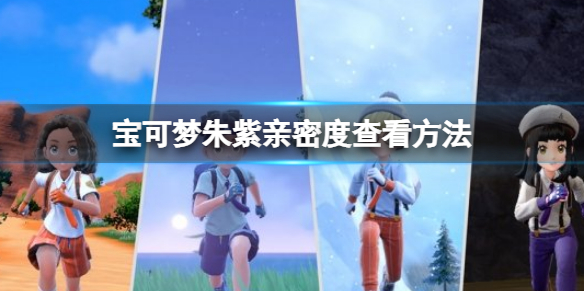 《寶可夢朱紫》親密度怎麼看？親密度查看方法