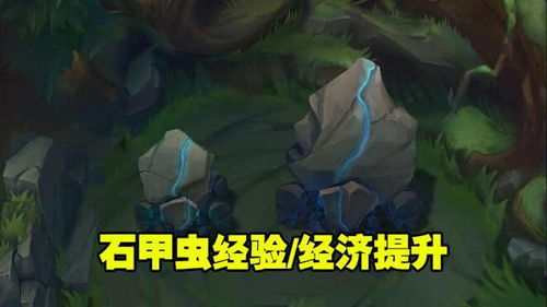 英雄聯盟石甲蟲怎麼打野,lol蟲子打野