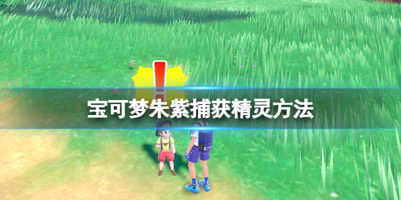 《寶可夢朱紫》寶可夢怎麼捕捉？捕獲精靈方法
