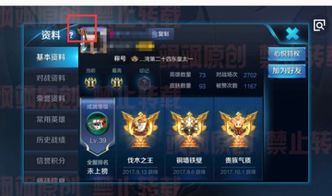 王者榮耀等級標志怎麼取消,王者榮耀貴族標志顯示怎麼關?