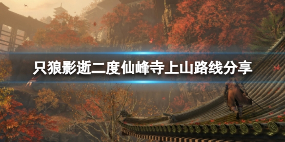 《只狼影逝二度》仙峰寺怎麼走？仙峰寺上山路線分享