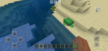 我的世界動物怎麼恢復血量,mc我的世界怎麼給養的馬和羊等動物回血