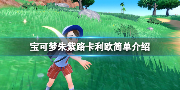 《寶可夢朱紫》路卡利歐屬性是什麼？路卡利歐簡單介紹