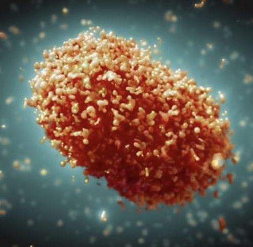 我的世界怎麼組織一支戰隊,如何組建戰隊