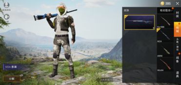 和平精英怎麼把冰藏,OPPOk3,怎麼把和平精英隱藏起來,而且不用應用時間發現?