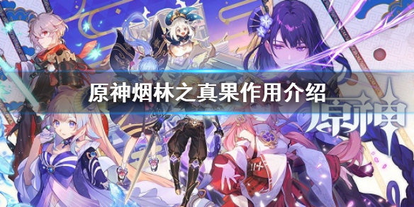 《原神》煙林之真果有什麼用？煙林之真果作用介紹