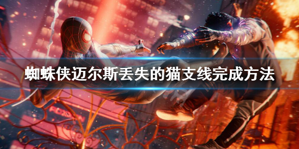 《蜘蛛俠邁爾斯》找貓任務怎麼做？丟失的貓支線完成方法