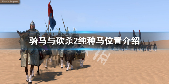 《騎馬與砍殺2》純種馬哪裡弄？純種馬位置介紹