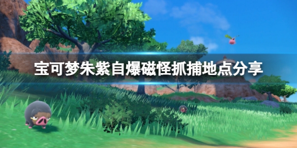 《寶可夢朱紫》自爆磁怪去哪抓？自爆磁怪抓捕地點分享