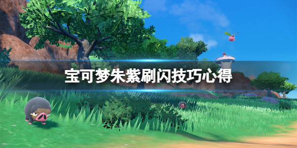 《寶可夢朱紫》刷閃光寶可夢要注意什麼？刷閃技巧心得