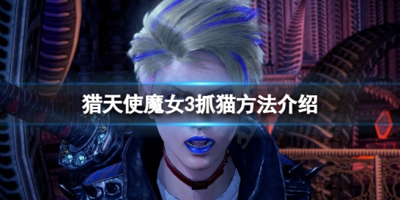 《獵天使魔女3》貓怎麼抓?抓貓方法介紹