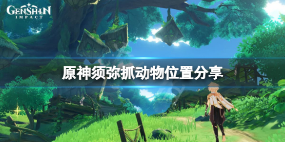 《原神》須彌動物在哪抓？須彌抓動物位置分享