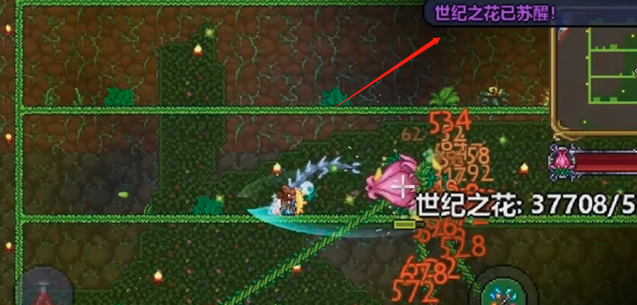 泰拉瑞亞為什麼死活找不到世紀之花？